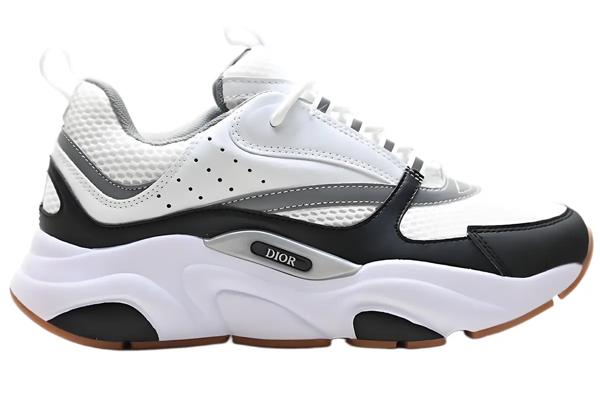 Dior B22 black and withe