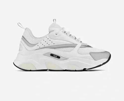 Dior B22 grey and withe