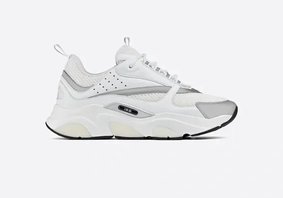 Dior B22 grey and withe